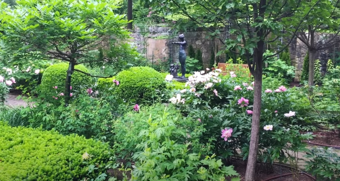 Tree & Shrub Care service in South Gate, CA